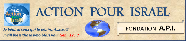 Banner2 versionRevue 2013